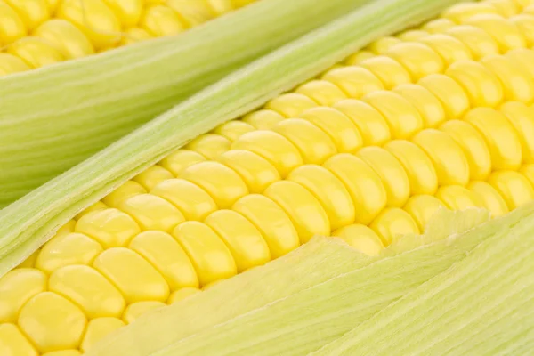 A kukorica a cob háttér — Stock Fotó