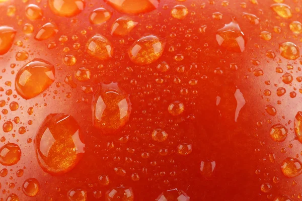 Fond de l'image rapprochée d'une tomate fraîche — Photo