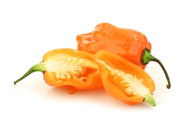 Spicy hot adjuma pepper(Capsicum chinense ) Stock Image