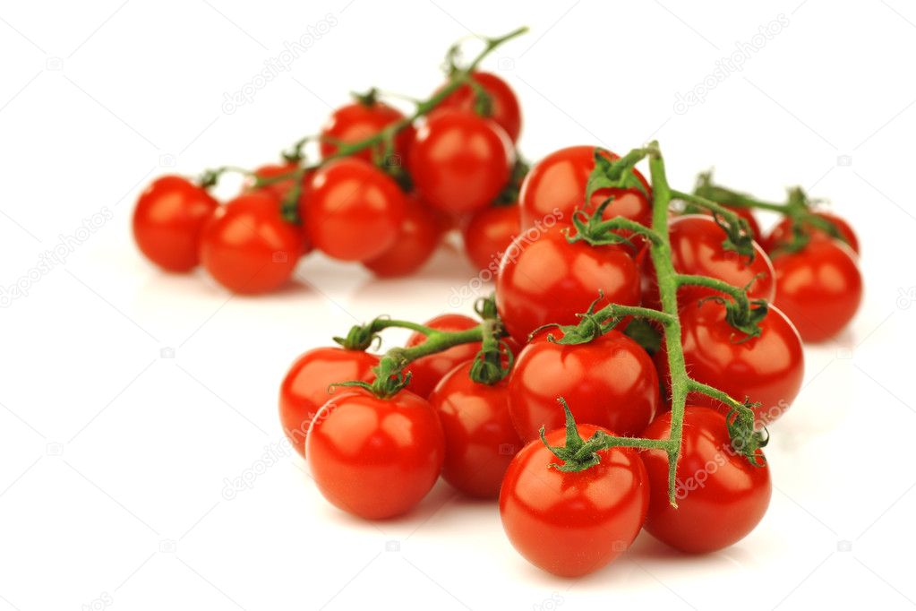 Fresh cherry tomatoes on the vine