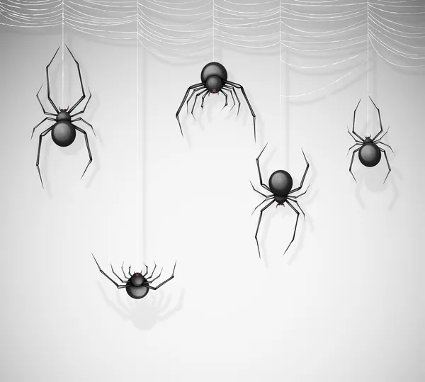 The spiders — Stock Vector