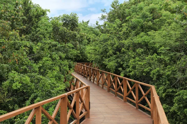 Stock image Beach Path