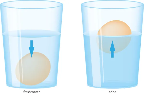 Яйцо и вода — стоковый вектор