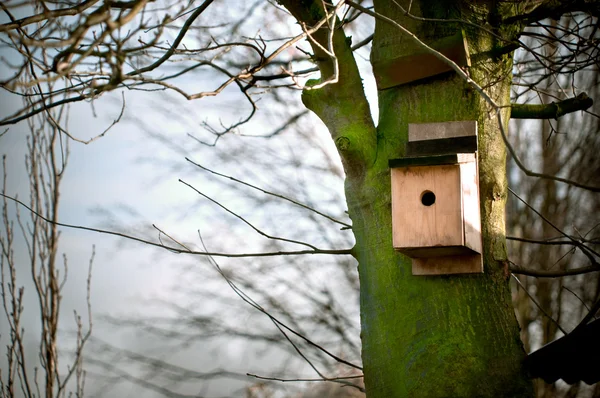 Casa de pájaros en un árbol — Foto de Stock