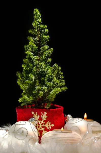 00309 - Christmas tree and ornaments — Stock Photo, Image