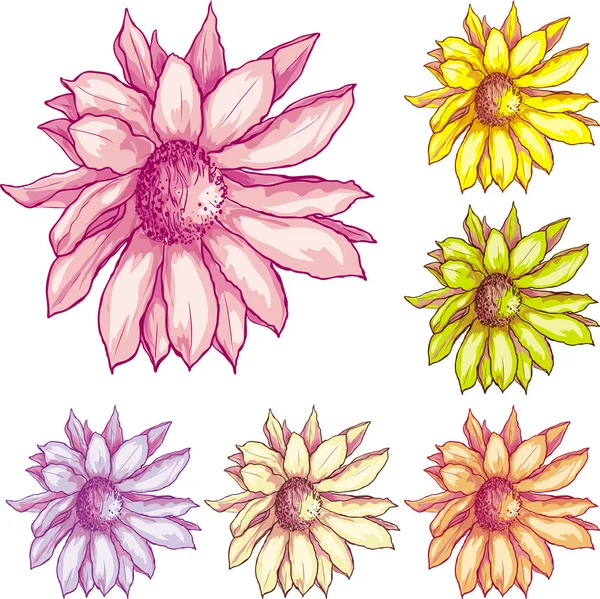 How to draw different types of flowers easy/ Flowers drawing quick and easy  /6 types of flowers 💗 - YouTube