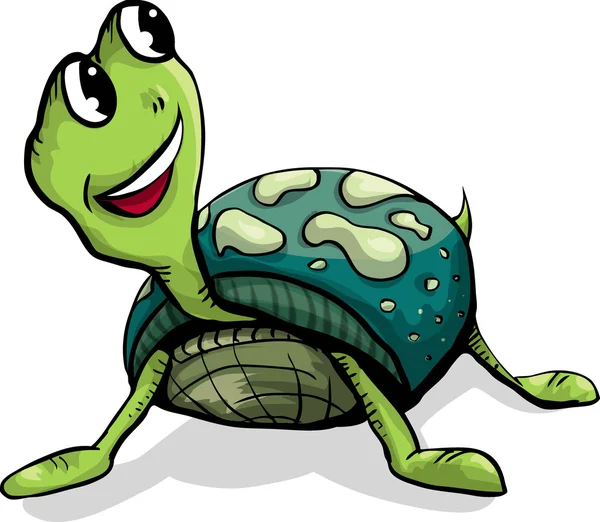 Schildkröte — Stockvektor