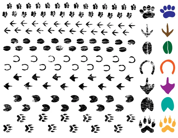 Huellas animales — Archivo Imágenes Vectoriales