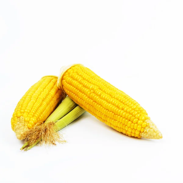 Варена подрібнена кукурудза. Ізольовані на білому . — стокове фото