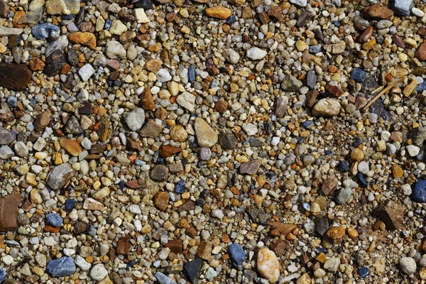 Pebbles taustakuvana — kuvapankkivalokuva