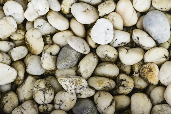 Las rocas mojadas en el suelo después de la lluvia con musgo . — Foto de Stock