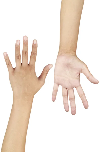 Two hands isolated on a white background. — Stock Photo, Image