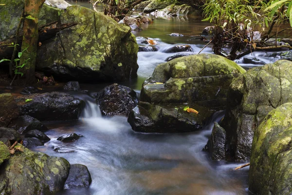 stock image Cascade falls over mossy rocks