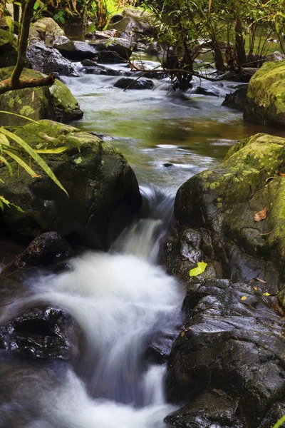 stock image Cascade falls over mossy rocks