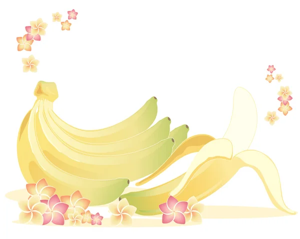 Plátanos y frangipani — Archivo Imágenes Vectoriales