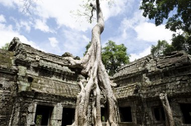 Ta Prohm clipart