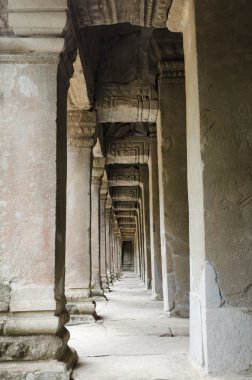 Ta Prohm