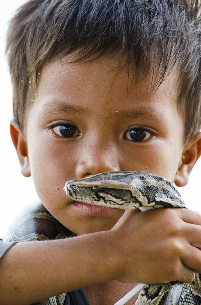 stock image Snake boy