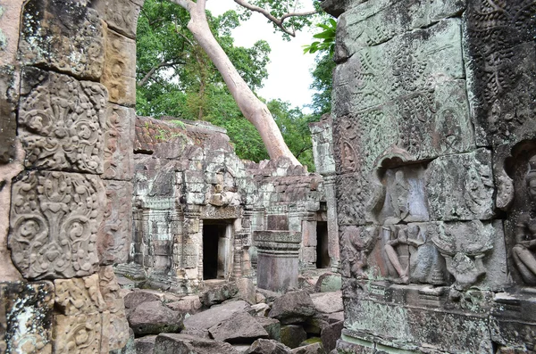 Preah Han Telifsiz Stok Fotoğraflar