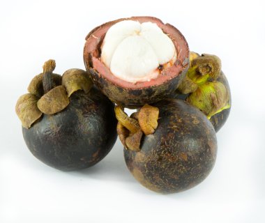 Mangosteen