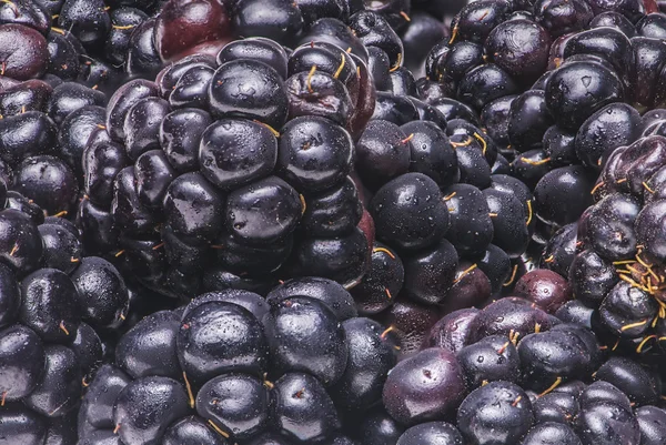 stock image Blackberries