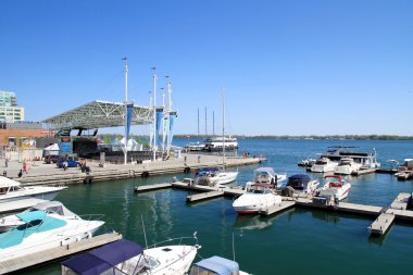 Toronto Harbourfront Merkezi amfi tiyatro