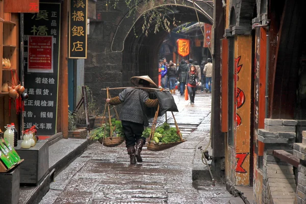 Mulher chinesa carregando legumes — Fotografia de Stock