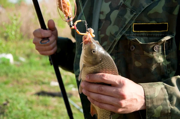 Close-up handen van fisher met de vis in de buurt van het meer — Stockfoto