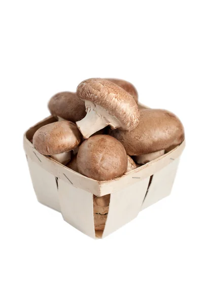 Świeże grzyby pieczarki w koszyku — Zdjęcie stockowe