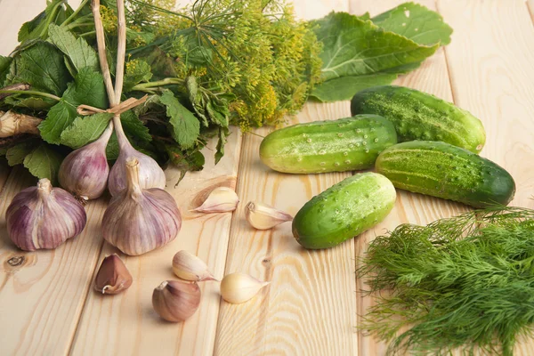 stock image Preparing cucumbers for pickling