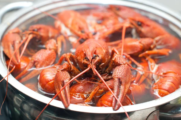 stock image Crawfish boiling in a large pot