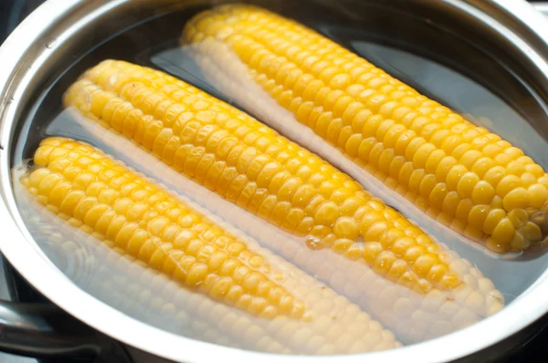 Boiled corn in the pot — Stock Photo, Image
