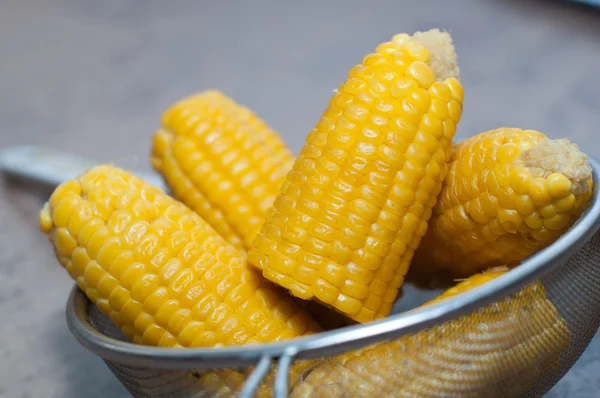 Gekookte maïs in pan — Stockfoto