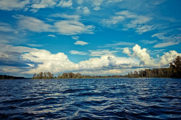 湖泊和森林 免版税图库图片