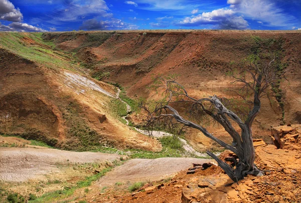 Живописное ландшафтное плато Устюрт — стоковое фото
