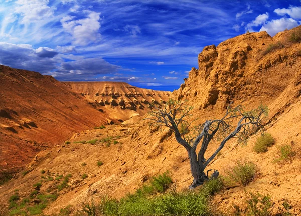 カザフスタンでの峡谷高原 ustyurt — ストック写真