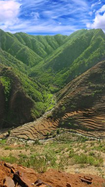 Himalayaların eteklerinde tarım alanları