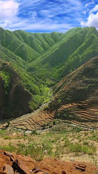 Сельскохозяйственные поля на склонах Гималаев — стоковое фото