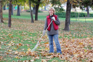 Autumn clipart