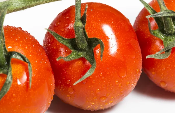 Pomodori ciliegia Immagine Stock
