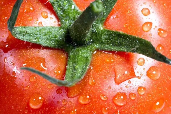 Färsk tomat Royaltyfria Stockbilder