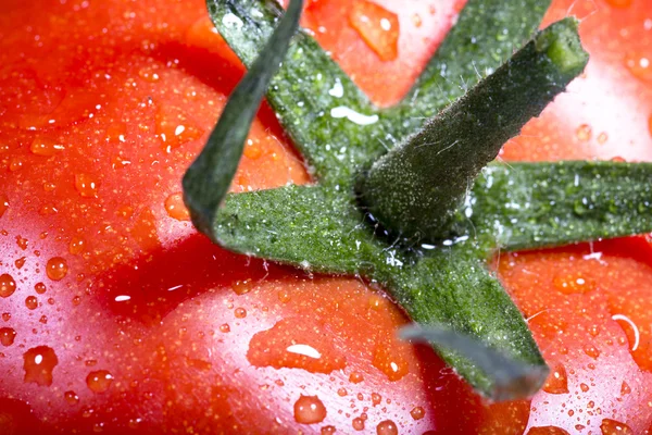 Färsk tomat Stockfoto