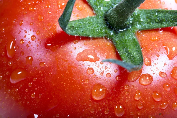 Свежие томаты Лицензионные Стоковые Фото