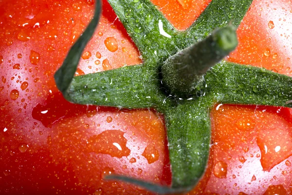 Свежие томаты Лицензионные Стоковые Фото