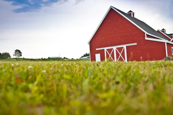 Rode schuur in een veld — Stockfoto