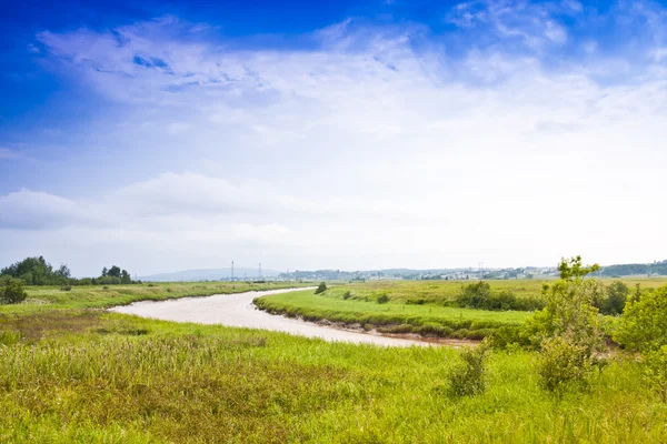 stock image River winding through fields