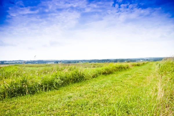 Pathway in a field Royalty Free Stock Images
