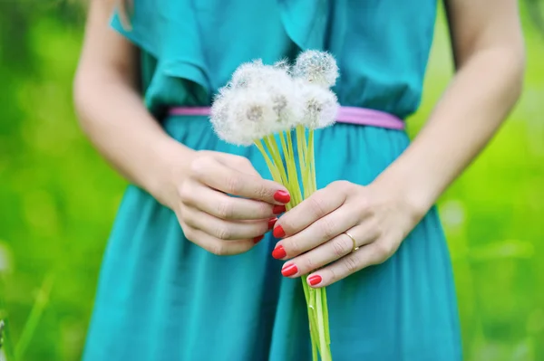 Dandelions in hands — Stock Photo, Image