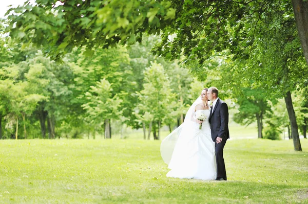 Gelukkige bruid en bruidegom in een park — Stockfoto