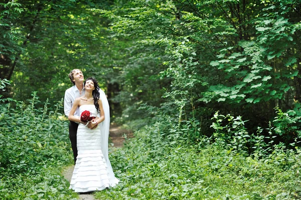 Wedding couple in a wood — Stock Photo, Image